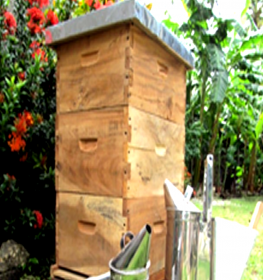 caja colmena inoxiapis
