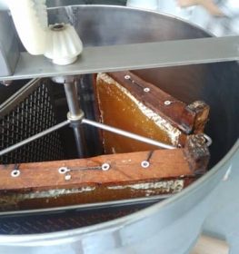 centrifugaa centrifugaa
